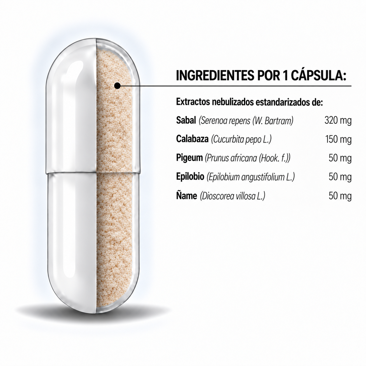 Dorpis 30 cápsulas - Bioserum - Imagen 4