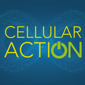CELLULAR ACTION